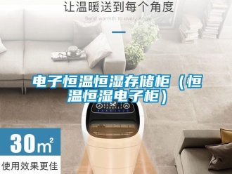 知識百科電子恒溫恒濕存儲柜（恒溫恒濕電子柜）