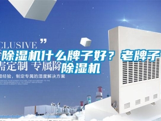 企業(yè)新聞除濕機什么牌子好？老牌子除濕機