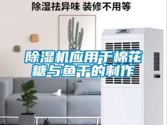 企業新聞除濕機應用于棉花糖與魚干的制作