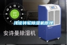淺談轉(zhuǎn)輪除濕機(jī)原理