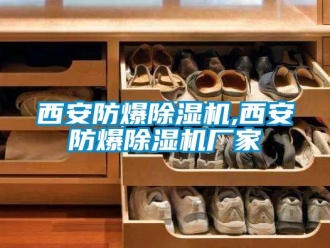 企業(yè)新聞西安防爆除濕機,西安防爆除濕機廠家