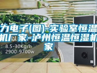 知識百科至力電子(圖)-實驗室恒溫恒濕機廠家-瀘州恒溫恒濕機廠家