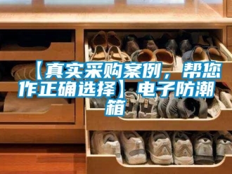 企業新聞【真實采購案例，幫您作正確選擇】電子防潮箱