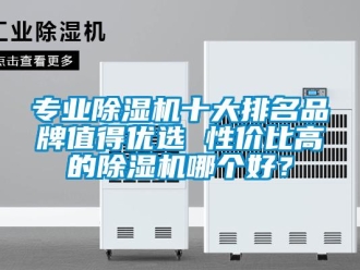 企業(yè)新聞專業(yè)除濕機(jī)十大排名品牌值得優(yōu)選 性價(jià)比高的除濕機(jī)哪個(gè)好？