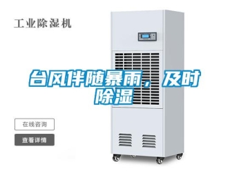 知識百科臺風(fēng)伴隨暴雨，及時除濕