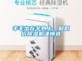 知識百科羊毛出在羊身上，超低價除濕機謹慎選