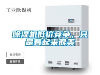 企業(yè)新聞除濕機低價競爭，只是看起來很美