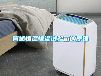 知識百科簡述恒溫恒濕試驗箱的原理