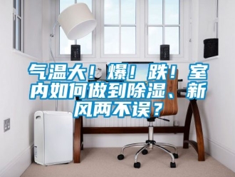 企業(yè)新聞氣溫大！爆！跌！室內(nèi)如何做到除濕、新風(fēng)兩不誤？