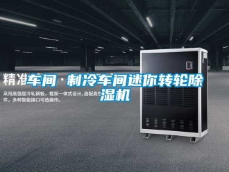 常見問題車間 制冷車間迷你轉輪除濕機