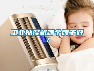 企業(yè)新聞工業(yè)抽濕機(jī)哪個(gè)牌子好？
