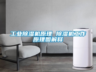 常見問題工業(yè)除濕機(jī)原理 除濕機(jī)工作原理圖解釋
