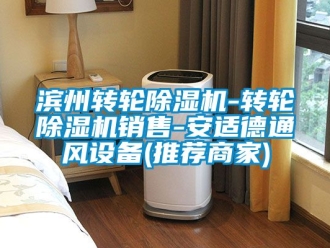 常見問題濱州轉(zhuǎn)輪除濕機(jī)-轉(zhuǎn)輪除濕機(jī)銷售-安適德通風(fēng)設(shè)備(推薦商家)