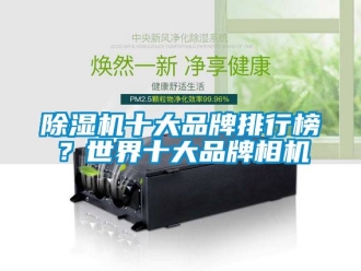 企業(yè)新聞除濕機(jī)十大品牌排行榜？世界十大品牌相機(jī)