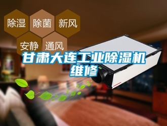 常見問題甘肅大連工業除濕機維修