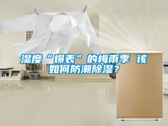 常見問題濕度“爆表”的梅雨季 該如何防潮除濕？