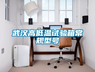 常見(jiàn)問(wèn)題武漢高低溫試驗(yàn)箱常規(guī)型號(hào)