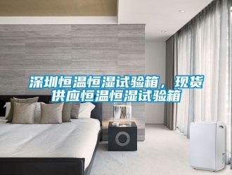 知識百科深圳恒溫恒濕試驗箱，現(xiàn)貨供應(yīng)恒溫恒濕試驗箱
