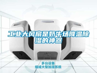 企業(yè)新聞工業(yè)大風(fēng)扇是奶牛場(chǎng)降溫除濕的神器
