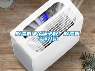 企業新聞除濕機哪個牌子好？除濕機品牌介紹