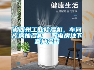 常見問題湘西州工業(yè)除濕機，車間庫房抽濕機  配電房地下室抽濕器
