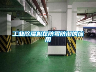 企業新聞工業除濕機在防霉防潮的應用
