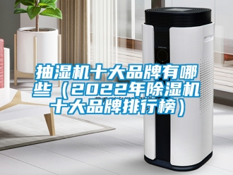 企業(yè)新聞抽濕機(jī)十大品牌有哪些（2022年除濕機(jī)十大品牌排行榜）