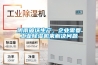 陰雨破壞生產(chǎn)，企業(yè)需要工業(yè)除濕機(jī)來(lái)解決問(wèn)題