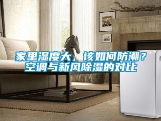 企業(yè)新聞家里濕度大，該如何防潮？空調(diào)與新風(fēng)除濕的對(duì)比