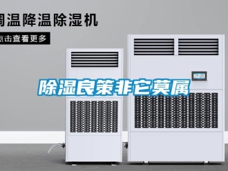 企業(yè)新聞除濕良策非它莫屬