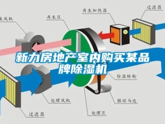 知識(shí)百科新力房地產(chǎn)室內(nèi)購(gòu)買某品牌除濕機(jī)