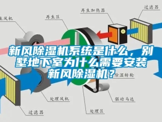 常見問題新風(fēng)除濕機(jī)系統(tǒng)是什么，別墅地下室為什么需要安裝新風(fēng)除濕機(jī)？
