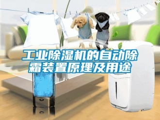企業(yè)新聞工業(yè)除濕機的自動除霜裝置原理及用途