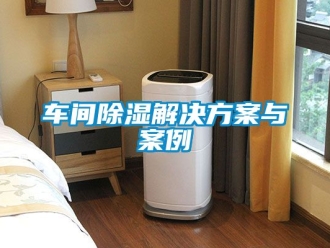 企業(yè)新聞車間除濕解決方案與案例