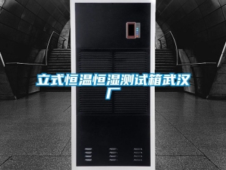知識百科立式恒溫恒濕測試箱武漢廠