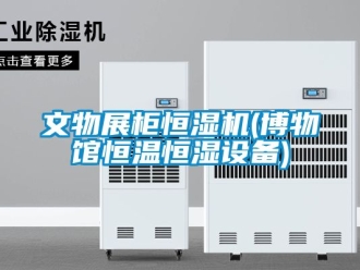 知識(shí)百科文物展柜恒濕機(jī)(博物館恒溫恒濕設(shè)備)