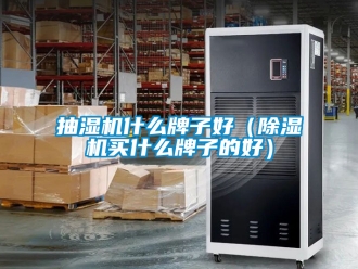 企業新聞抽濕機什么牌子好（除濕機買什么牌子的好）