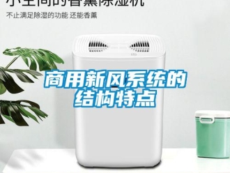 知識百科商用新風系統的結構特點