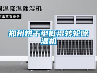 常見問題鄭州烘干型低濕轉輪除濕機