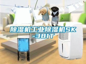常見問題除濕機工業(yè)除濕機SK-381T