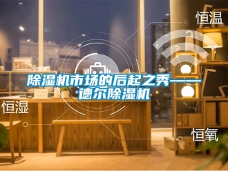 企業(yè)新聞除濕機市場的后起之秀——德爾除濕機