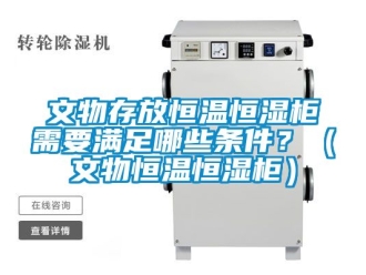 知識(shí)百科文物存放恒溫恒濕柜需要滿足哪些條件？（文物恒溫恒濕柜）