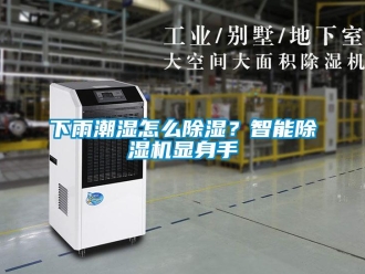 常見問題下雨潮濕怎么除濕？智能除濕機顯身手