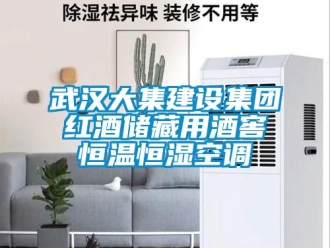 知識百科武漢大集建設(shè)集團紅酒儲藏用酒窖恒溫恒濕空調(diào)