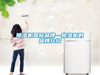 企業(yè)新聞除濕機國際品牌—除濕機的品牌介紹