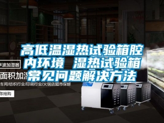 常見(jiàn)問(wèn)題高低溫濕熱試驗(yàn)箱腔內(nèi)環(huán)境 濕熱試驗(yàn)箱常見(jiàn)問(wèn)題解決方法