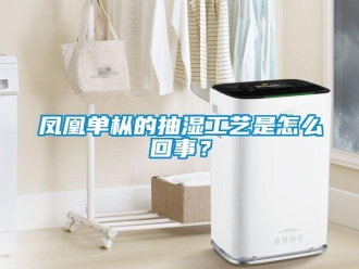 企業新聞鳳凰單樅的抽濕工藝是怎么回事？