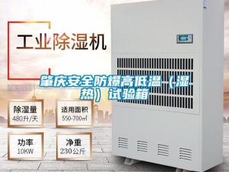 企業(yè)新聞?wù)貞c安全防爆高低溫（濕熱）試驗(yàn)箱
