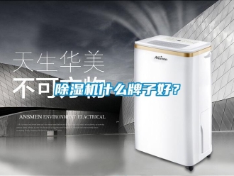 企業(yè)新聞除濕機什么牌子好？