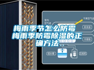 企業(yè)新聞梅雨季節(jié)怎么防霉 梅雨季防霉除濕的正確方法